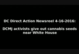 Giving out cannabis seeds by the White House